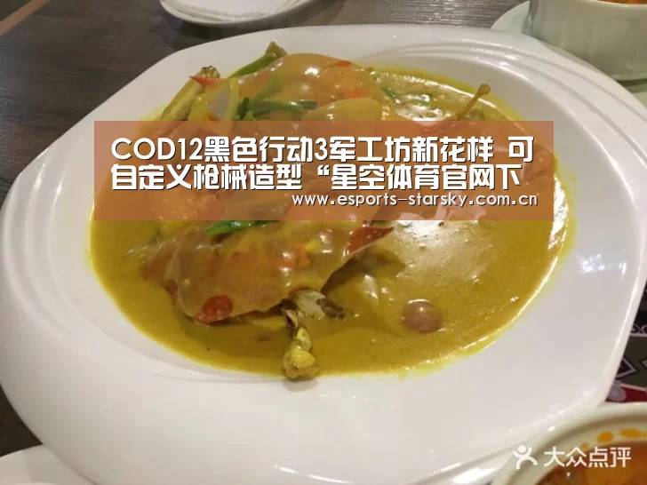星空体育手机版